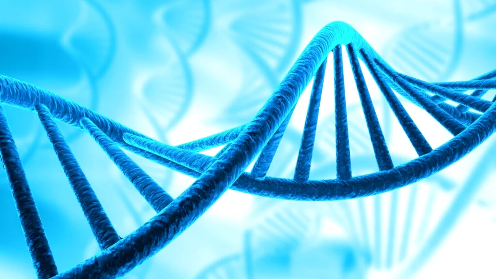 Cercetătorul care a demonstrat că educația genetică poate reduce prejudecățile rasiale