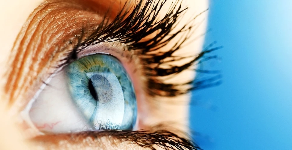 Oamenii de ştiinţă au creat picăturile care dizolvă cataracta