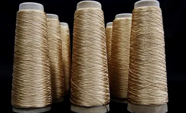 Japonezii au reuşit să sintetizeze mătasea produsă de păianjeni, pentru a putea fi folosită în industria textilă