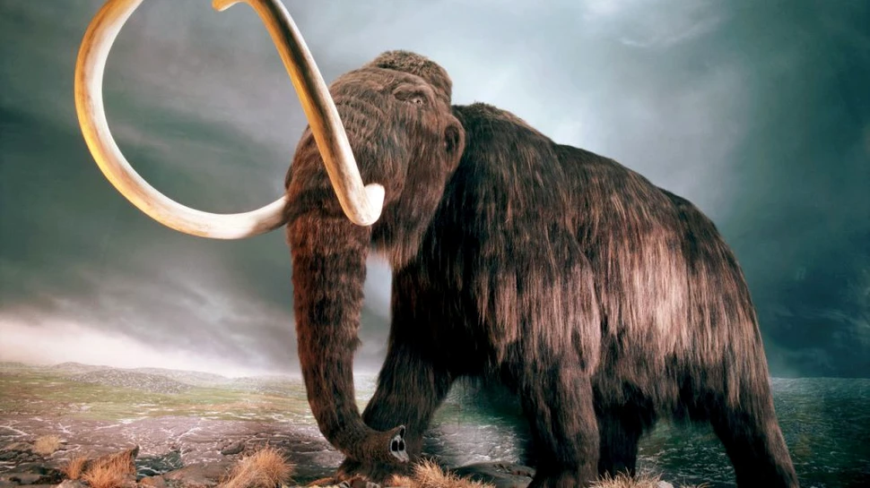 Rusia a deschis un institut de cercetare, pentru a studia posibilitatea de a clona mamuţi