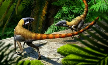Un specimen din Triasic s-a dovedit a fi o rudă timpurie a pterozaurilor abia la un secol după descoperire