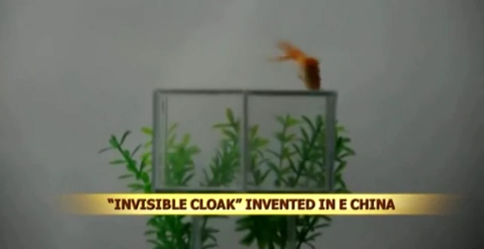 Chinezii au dezvăluit cum au făcut să dispară o pisică şi un peşte cu ajutorul unei „pelerine a invizibilităţii” (VIDEO)