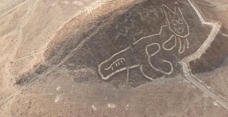 Noi geoglife au fost găsite în deșertul Nazca din Peru. Ce reprezintă?