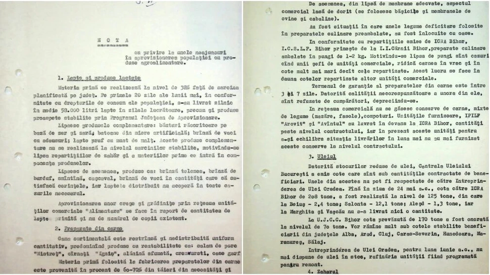 O notă secretă a Securității din 1989 dezvăluie amploarea crizei alimentare din ultimii ani de comunism