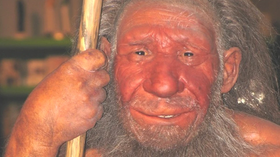 Avem “sange” de Neanderthal in noi