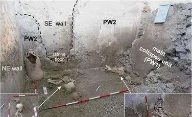 Noi schelete descoperite în Pompeii dezvăluie o catastrofă neștiută până acum