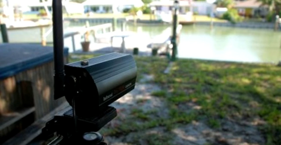 Bantuie un monstru de 10 metri canalele oraselor de coasta din Florida?