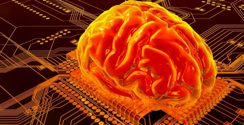 Creierul uman ar putea stoca internetul întreg în memorie. ”Aceasta este o bombă reală”.