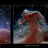 Nebuloasa Cap de Cal, observată în detalii fără precedent cu Telescopul Webb