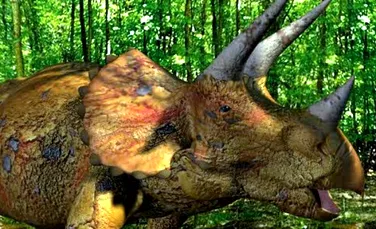 La ce foloseau coarnele lui Triceratops?