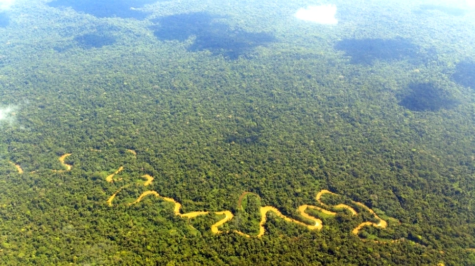 De ce construiesc brazilienii un turn colosal în mijlocul Amazoniei?