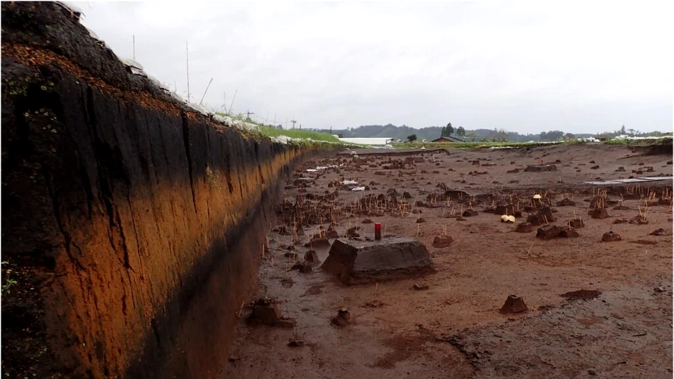 În urmă cu 7.300 de ani, o erupție vulcanică aproape a anihilat vânătorii-culegători din Japonia. Cum au reușit să supraviețuiască?