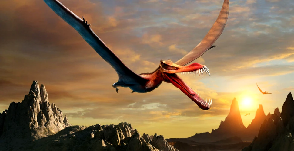 Un „dragon al morții” uriaș, cu o anvergură a aripilor de 9 metri, dezgropat în Argentina