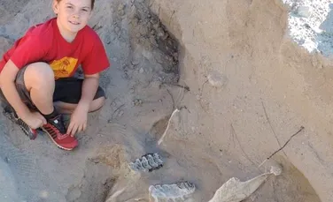 Un băiat a făcut o descoperire REMARCABILĂ în New Mexico. Are o vechime de peste 1 milion de ani