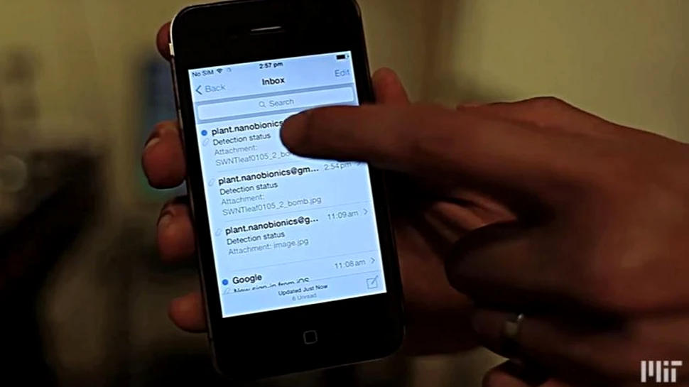 Cercetătorii de la MIT au inventat spanacul care poate trimite e-mailuri