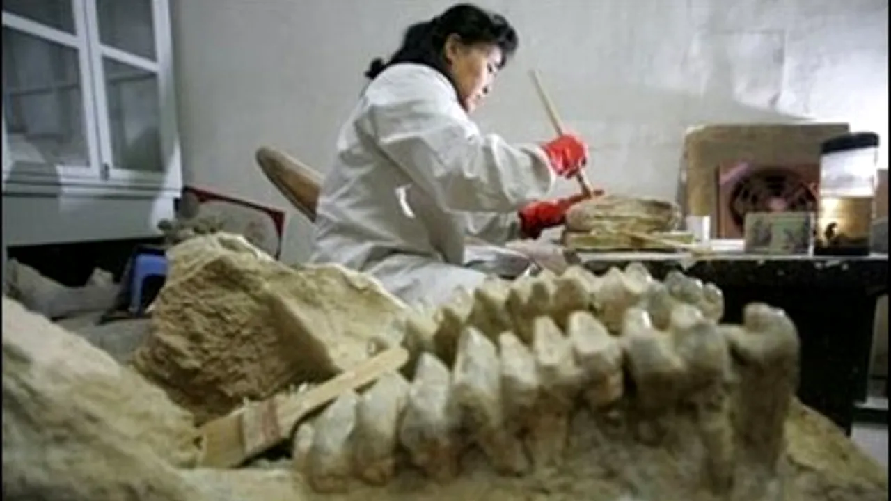 1-china-dino-380x250 
