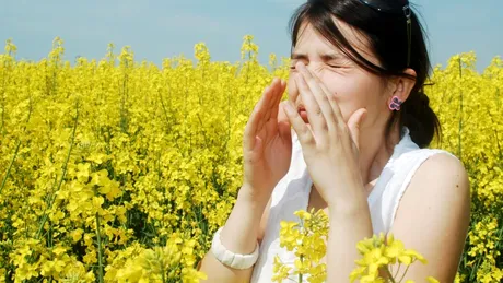 Noi cercetări arată că polenul poate modifica vremea