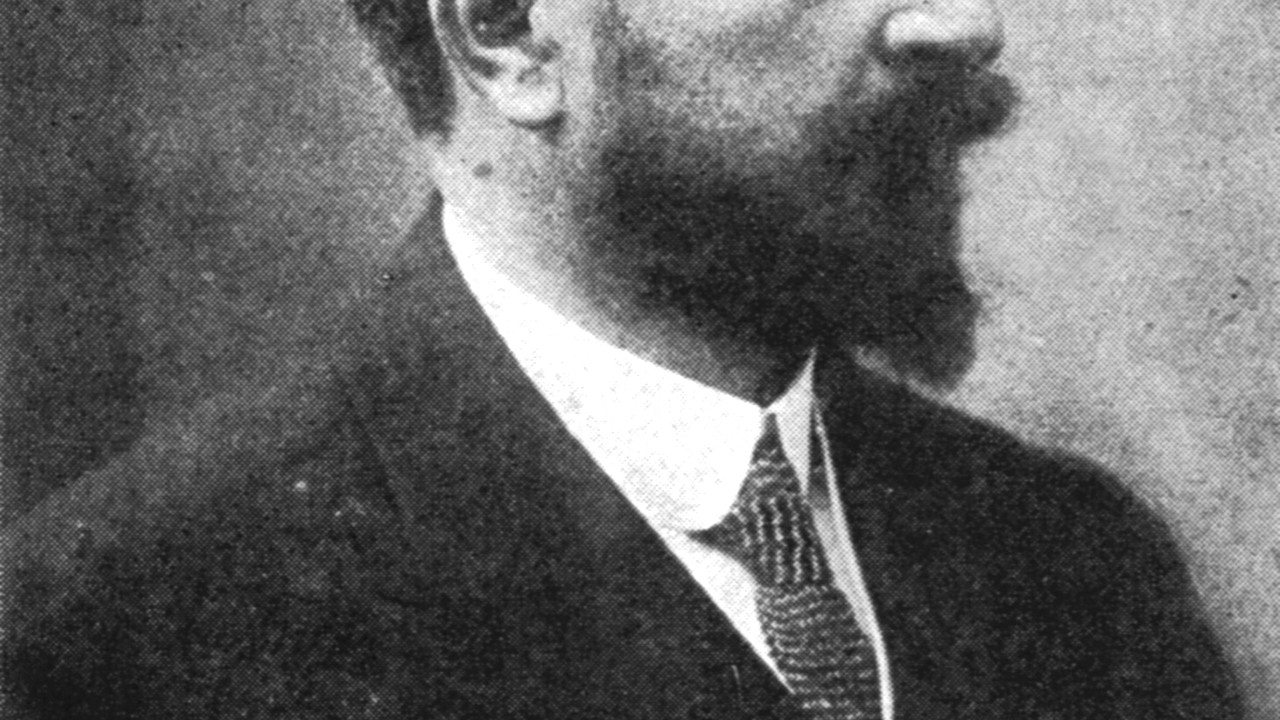 Hovawart