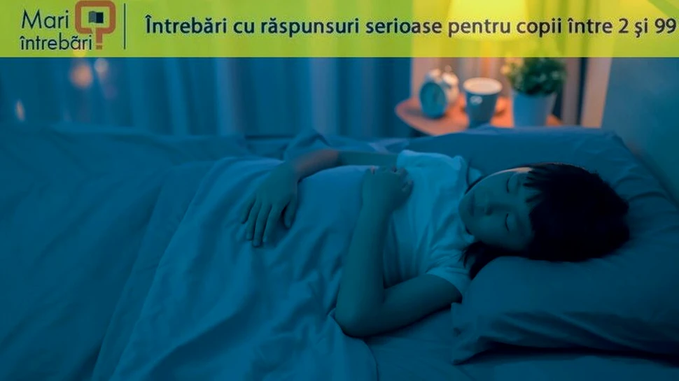 De ce se ni se mișcă ochii atunci când visăm?