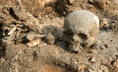 Craniile antice dezvăluie tainele încrucișării oamenilor cu neanderthalienii