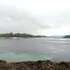 O specie de somn s-a adaptat de minune în apele poluate ale Indoneziei