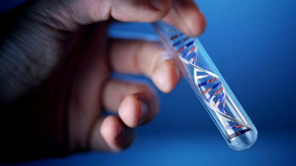 Genetica, peştele şi ardelenii