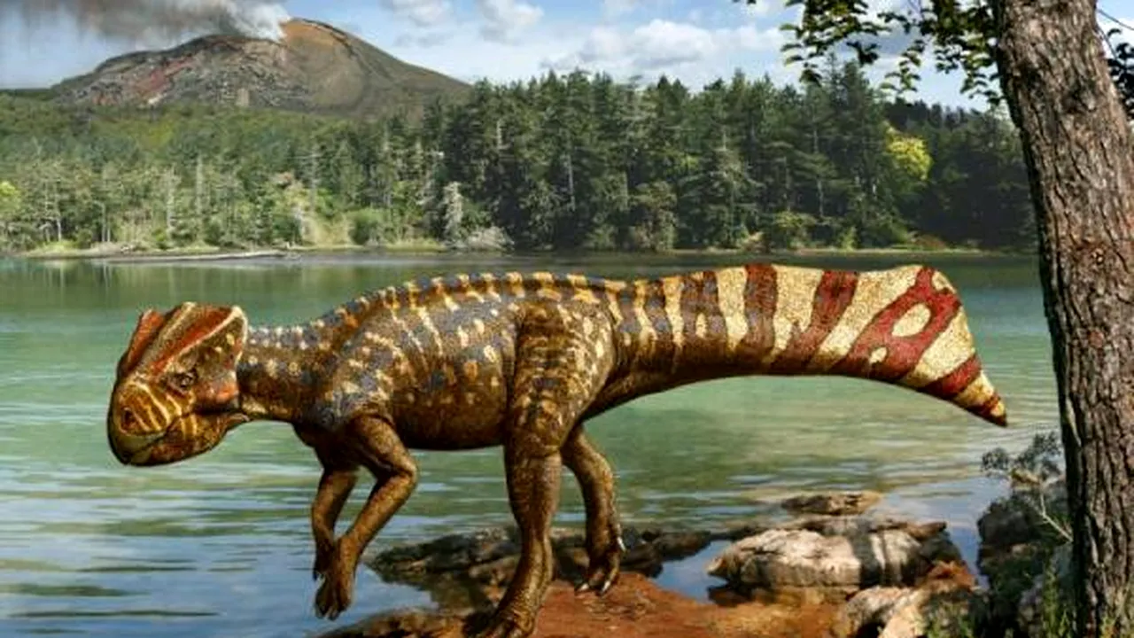1-koreaceratops 