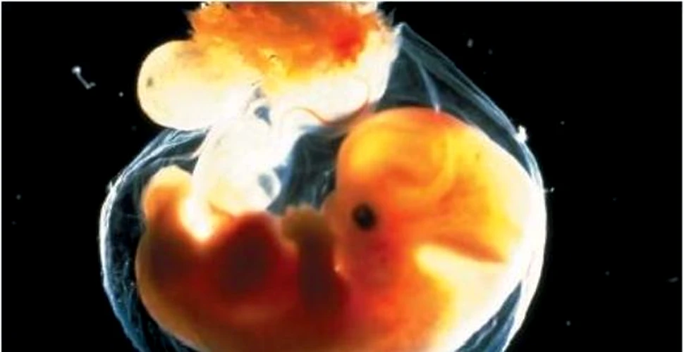 Au fost obtinuti embrioni umani cu ADN de la trei persoane