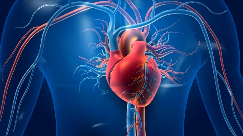 Ziua Naţională a Inimii. Cum poți să reduci riscul bolilor cardiovasculare