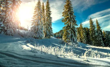 Anul Nou începe cu temperaturi blânde! Cum va fi vremea în ianuarie?
