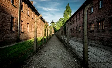Cum a salvat muzica viața unei violonceliste adolescente de la Auschwitz
