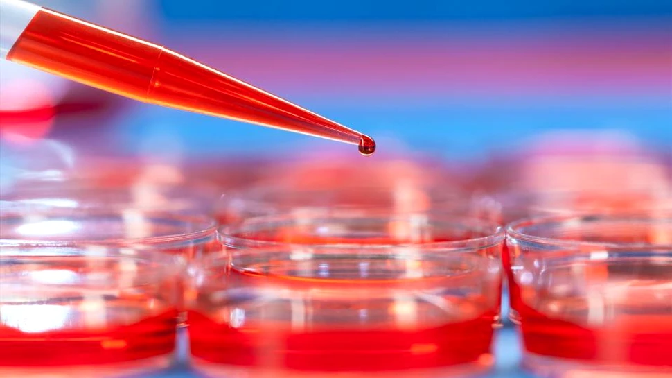 Cercetătorii au reprodus în laborator un ciclu menstrual complet. ”Este util în varii domenii medicale”