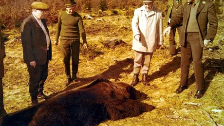 Ziua în care Ceaușescu a împușcat cei mai mari urși