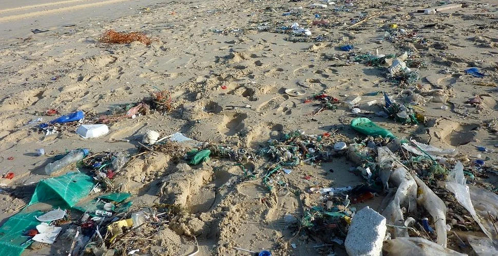 A fost descoperită ,,accidental” soluţia împotriva poluării cu deşeuri plastice