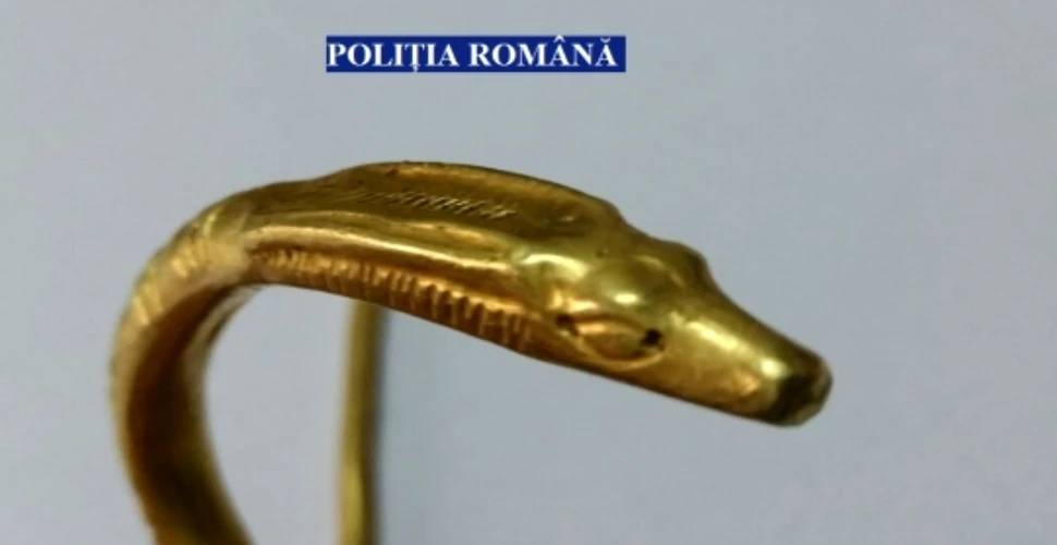 O brăţară de peste o sută de grame din aur, ce ar putea data din perioada dacică, a fost ridicată de poliţiştii din Olt