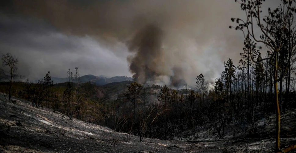 Portugalia și Spania au probleme grave cu incendiile de vegetație