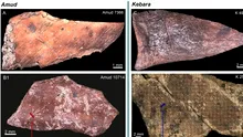 Chiar și neanderthalienii de acum 60.000 de ani aveau propriile tradiții culinare