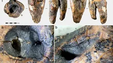 Unde practicau neanderthalienii stomatologia acum 60.000 de ani?
