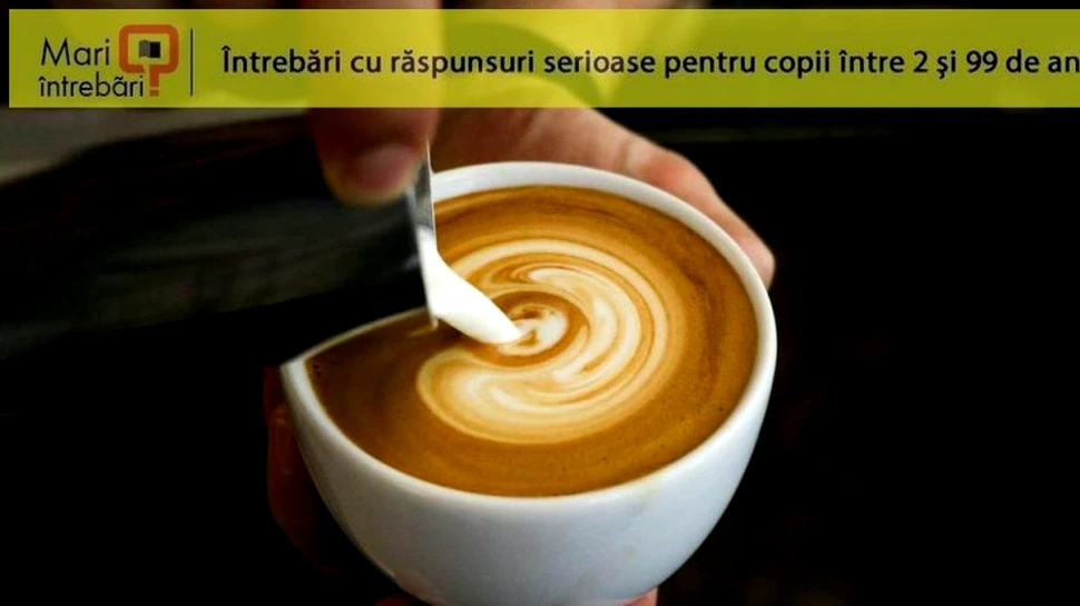 Ce se întâmplă, de fapt, cu corpul uman dacă un dependent de cafea încetează subit să o mai consume