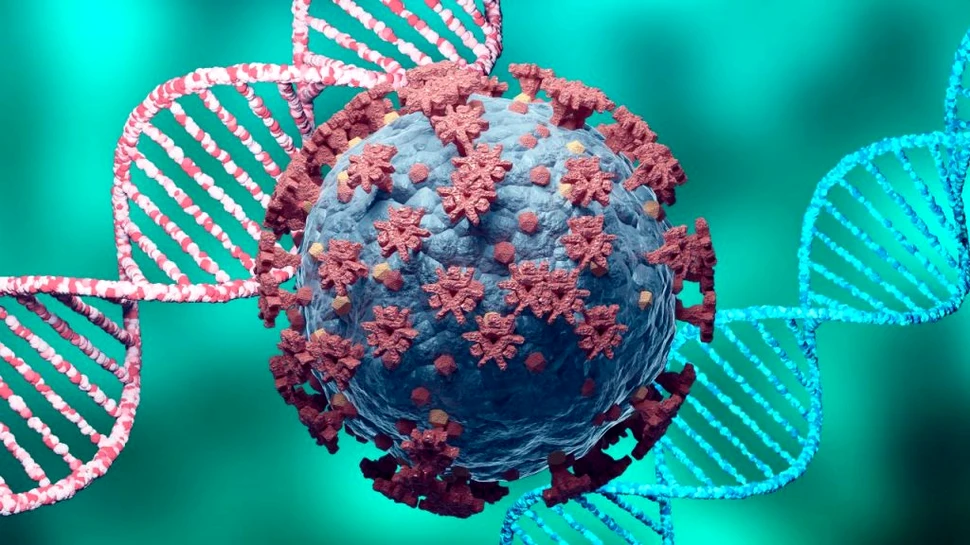 Coronavirusul SARS-CoV-2 se poate insera în genomul uman – studiu