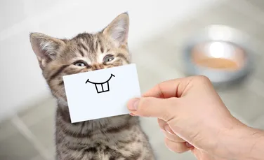 Umorul este un instrument esențial pentru o îmbătrânire sănătoasă