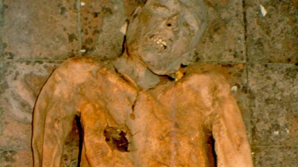 Genomul bacteriei E. coli antice a fost reconstruit folosind fragmente dintr-o mumie italiană