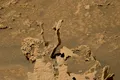 Roverul Curiosity a descoperit „țepi” bizari pe planeta Marte. Cum arată și ce sunt de fapt?