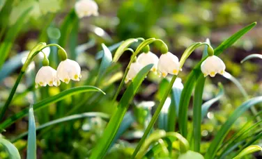 Vremea va fi schimbătoare în toată țara! Prognoza actualizată de la ANM