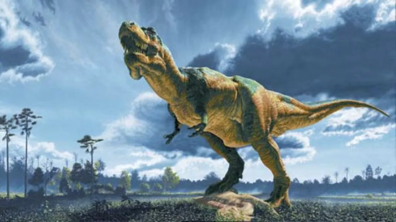 1-field-guide-trex 