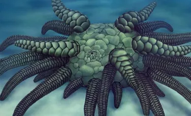 Fosila unei creaturi bizare găsită pe fundul mării pare desprinsă din literatura horror