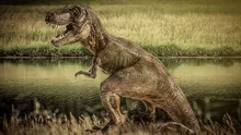 Dinozaurii T-Rex îşi controlau temperatura corpului cu ajutorul unor găuri din craniu