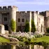 Cu ce sumă se vinde un castel medieval în care a luat cina regele Henric al VIII-lea?