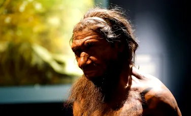 O descoperire care poate rescrie istoria vărului nostru ghinionist: Omul de Neanderthal făcea focul la fel ca strămoşii noştri moderni