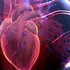 Anatomia fără bisturiu. Pot „cadavrele digitale” să înlocuiască disecția clasică?